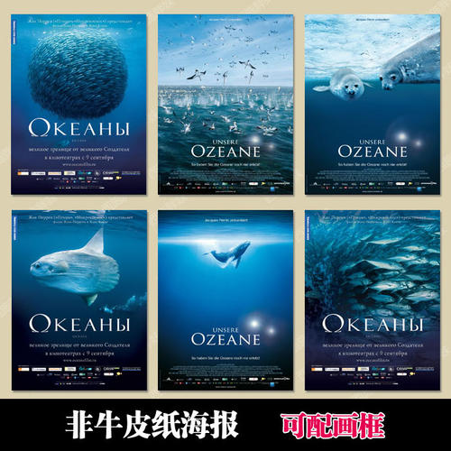 上海考的驾照申请国际驾照
